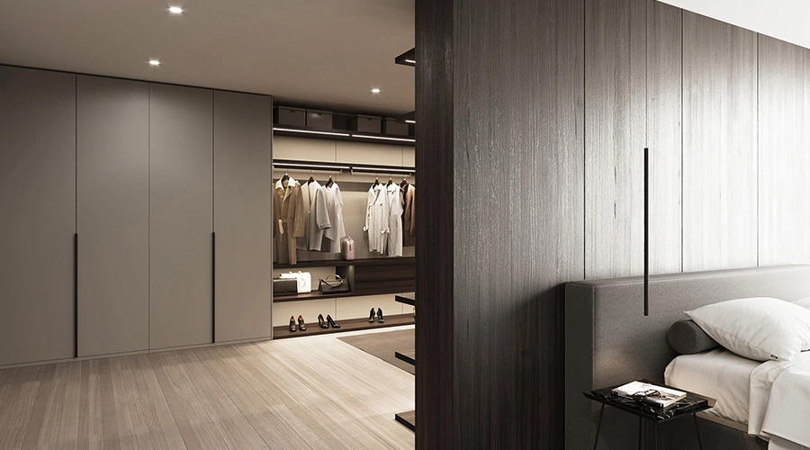 Modern Walk-in Closet with Shoe Cabinet